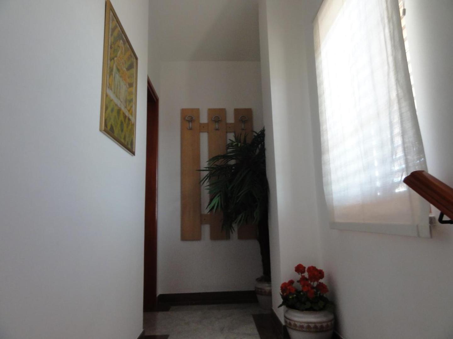 Cozy Apartments And Rooms Pavicini Segotici 외부 사진